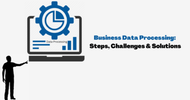 Business Data Processing Steps, Challenges & Solutions