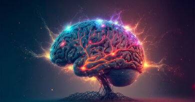 boost Brain Power