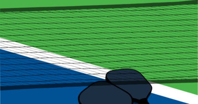 Pickleball vs. Paddle Tennis