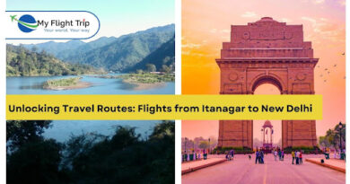 Flights from Itanagar to New Delhi